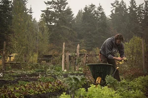 Watercliff Permaculture Farm