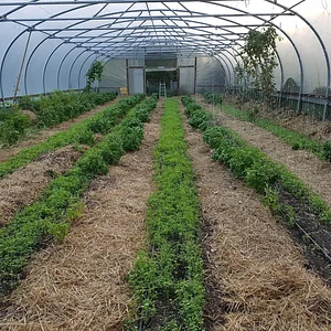 Agroecology in Plum Village Happy Farm