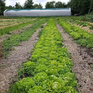 Agroecology in Plum Village Happy Farm
