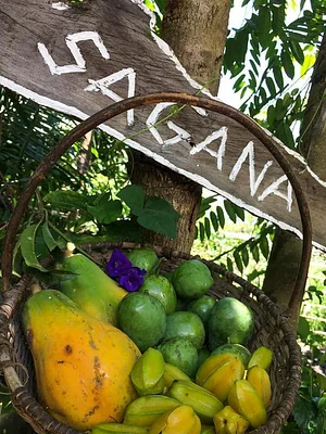 Learning Center at Kuatro Maria's Agroecology Farm