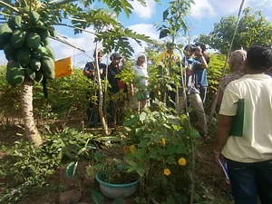 Learning Center