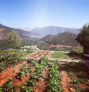 Land Shakra