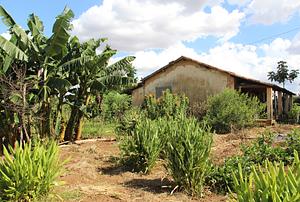 Centro de Desenvolvimento Agroecologico EA/UFG