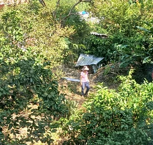 Mão Na Jaca