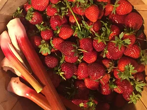 Utica Bridge Farms