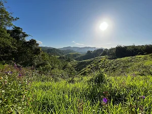 Sítio Permacultural Fonte da Vida