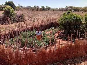 Fambidzanai Permaculture Centre