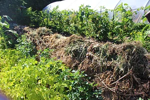 Eugene Permaculture Group