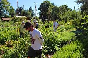 Eugene Permaculture Group