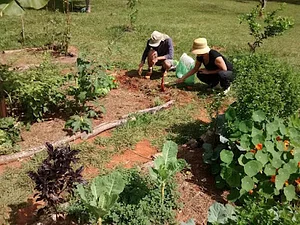 Horta Comunitária - Agrofloresta