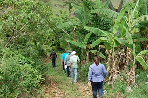 Centro Sabiá - Centro de Desenvolvimento Agroecológico Sabiá