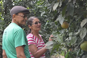Centro Sabiá - Centro de Desenvolvimento Agroecológico Sabiá
