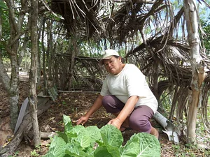 AS-PTA Agricultura Familiar e Agroecologia