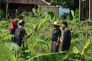 Saifana Organic Farm