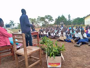 Environmental Awareness and tree Planting
