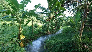 Likhalikasan Permaculture Farm