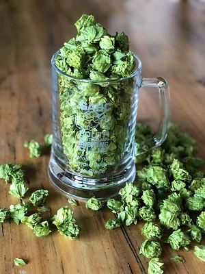 Silver Springs Hops & Permaculture Farm