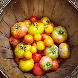 10 acre Agroecological Farm
