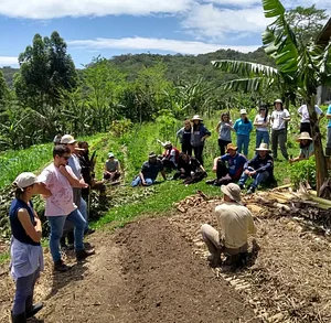 Projeto Consumidores e Agricultores em Rede