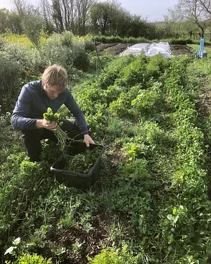 Harvest