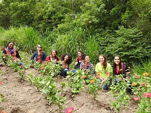 Educação no campo