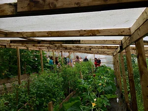 Incredible Farm