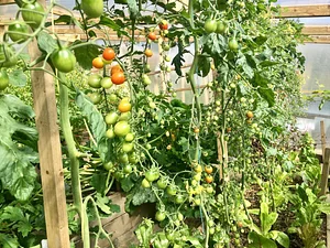 Incredible Farm