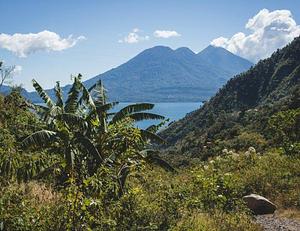 Atitlan Organics Farm