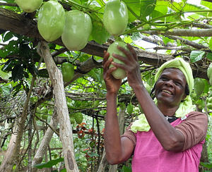 Promotion d'une approche agroécologique holistique en Haiti par Action de Carême