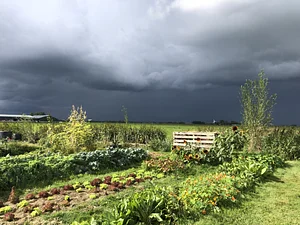 CSA Andere Wereld