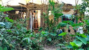 Projeto Familiar Besouro Criollo