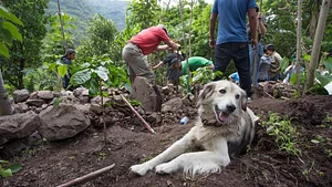Atitlan Organics