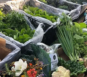 Organic food