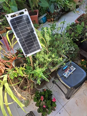 Continuing my experiments with Digital Agriculture and Solar Energy