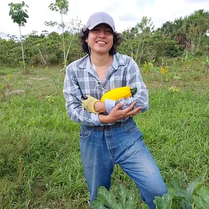 Primera cosecha de Zuccini