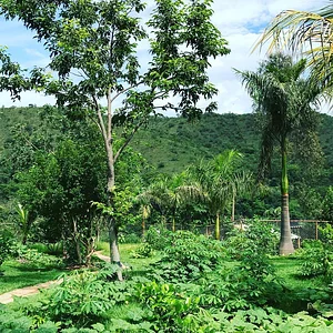 Rancho Pura Vida