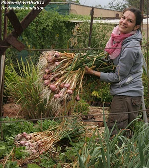 Drylands Permaculture Nursery