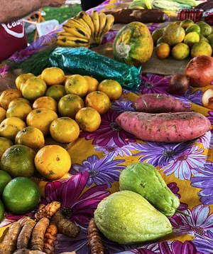 Feirinha agroecológica na UFSCar Sorocaba