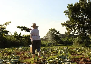 No Sítio Mãe Terra
