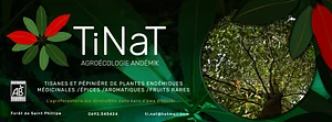 TiNAT pepiniere reunion