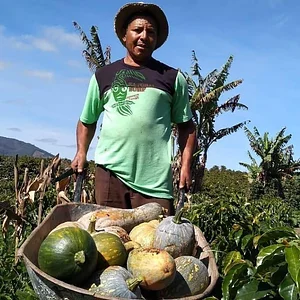 Intercâmbios Agroecológicos CTA 12