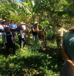 Projeto Consumidores e Agricultores em Rede