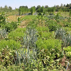 Agroecology Works!