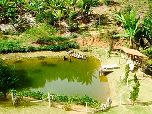 Estância Monte das Oliveiras