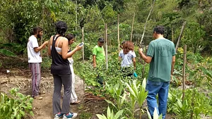 Prosumidores