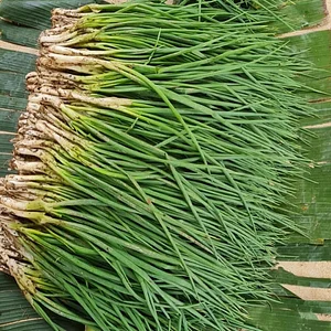 Permaculture at Farm Iley Harvesters