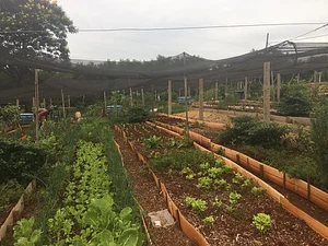 Assistência Técnica e Extensão Rural