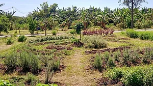 Unidades de Produção Agroecológica - COOPERAR