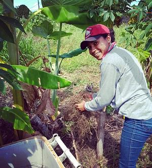Núcleo de Estudos em Agroecologia Campus Castanhal