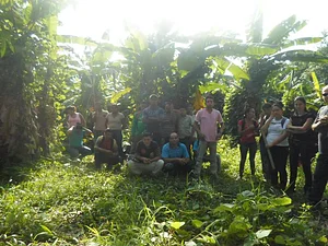 Núcleo de Estudos em Agroecologia Campus Castanhal